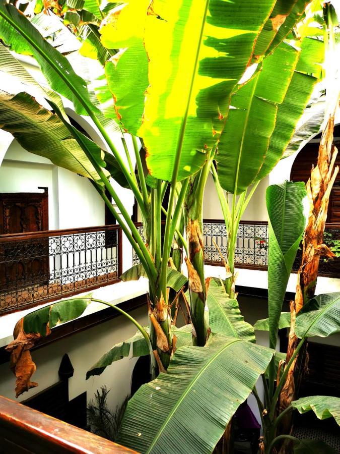 Riad Mehdia มาร์ราเกช ภายนอก รูปภาพ