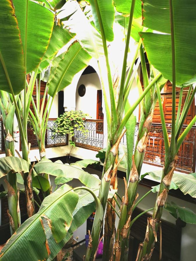 Riad Mehdia มาร์ราเกช ภายนอก รูปภาพ