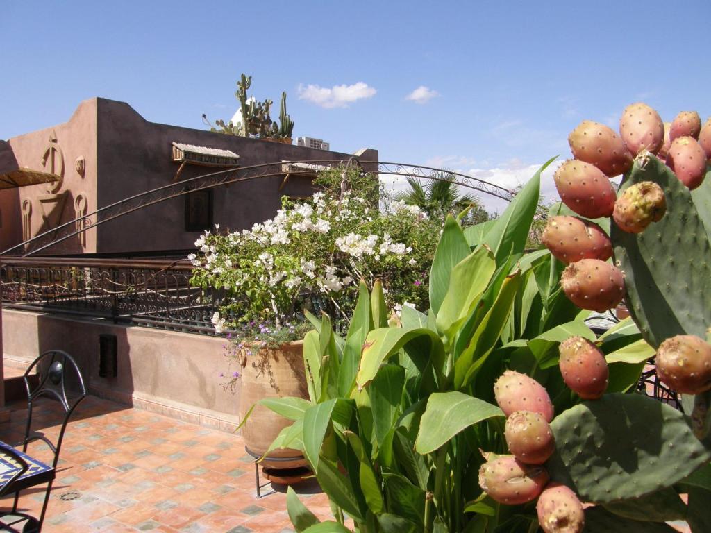Riad Mehdia มาร์ราเกช ภายนอก รูปภาพ