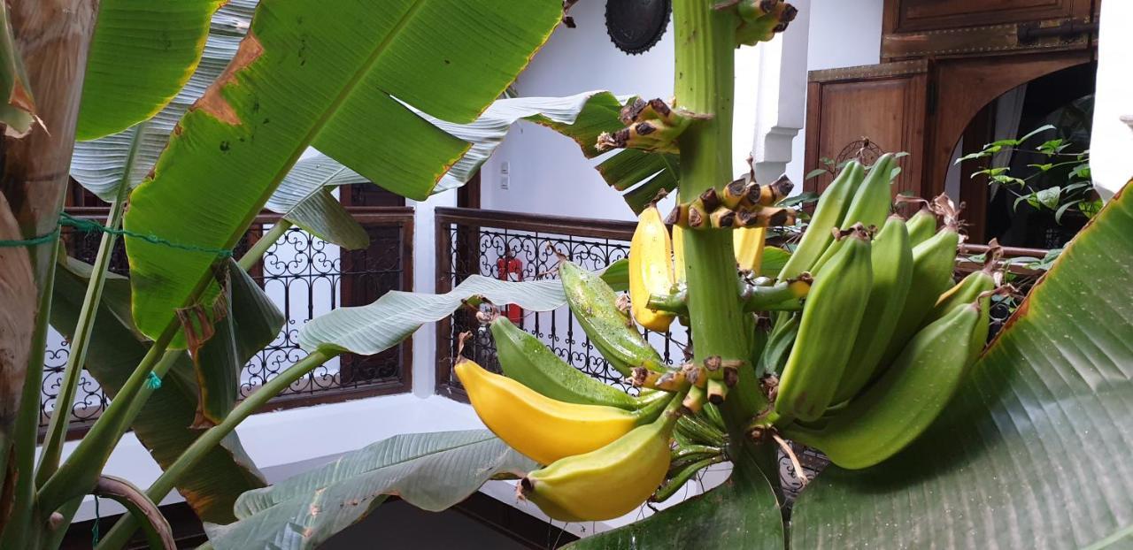 Riad Mehdia มาร์ราเกช ภายนอก รูปภาพ